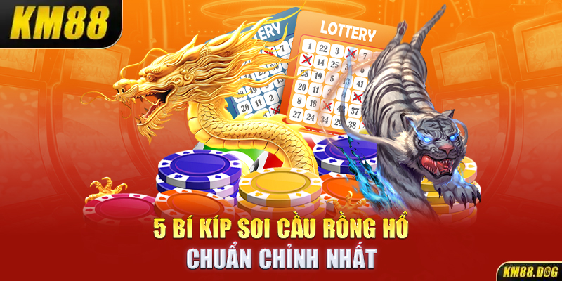 5 bí kíp soi cầu rồng hổ chuẩn chỉnh nhất