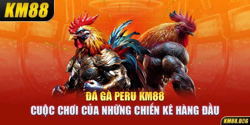 Đá Gà Peru KM88 – Cuộc Chơi Của Những Chiến Kê Hàng Đầu