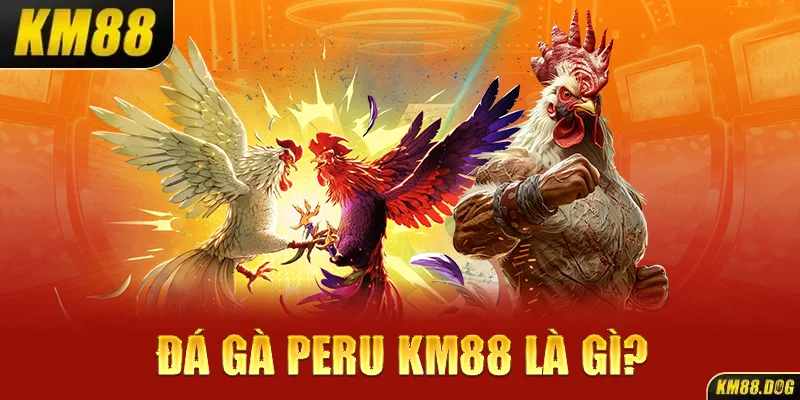 Đá gà Peru KM88 là gì?