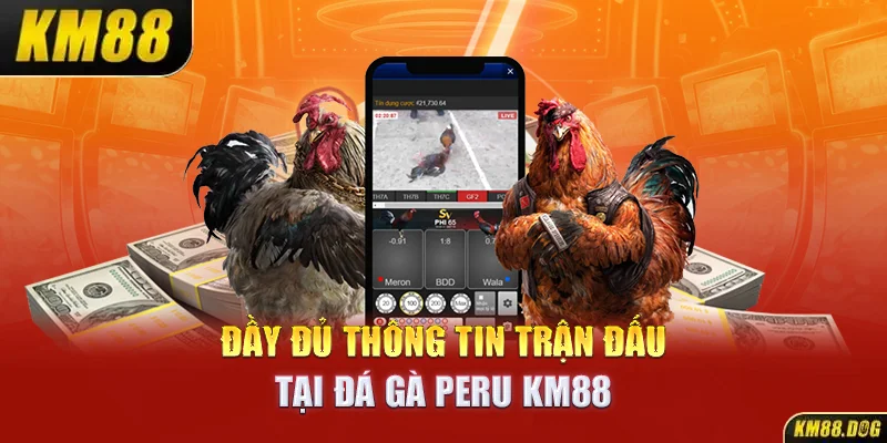 Đầy đủ thông tin trận đấu tại đá gà Peru KM88